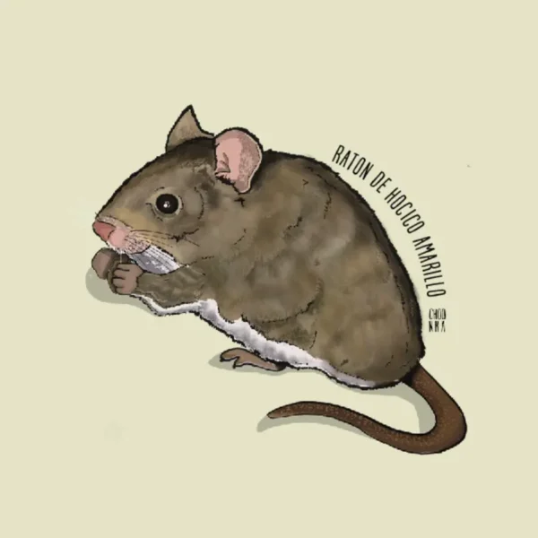 Sticker Ratón Olivaceous