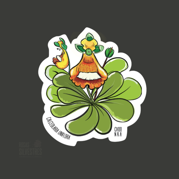 Sticker de flora: Calcaolaria uniflora