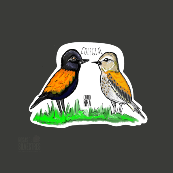 Sticker de ave: Colegial