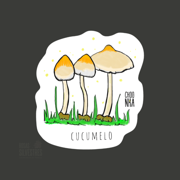 Sticker de hongo: Cucumelo