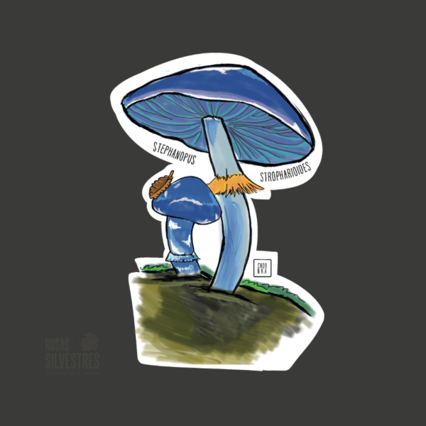 Sticker de hongo: Stephanopus stropharoides