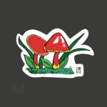 Imagen anterior del producto