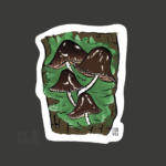 Imagen anterior del producto