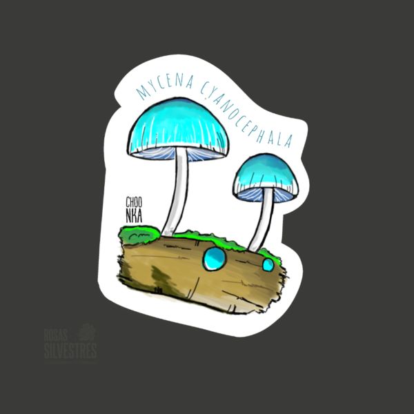 Sticker de hongo: Mycena cyanocephala