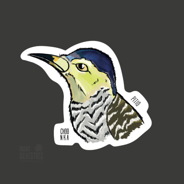 Sticker de ave: Pitio