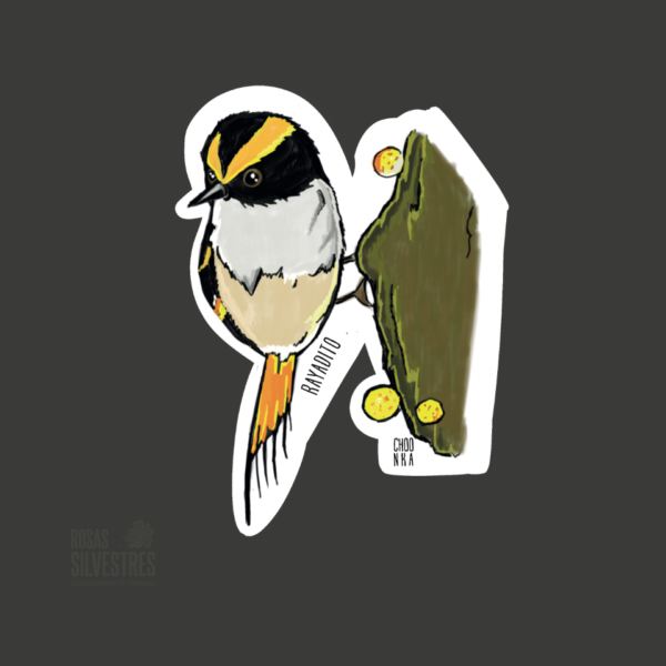 Sticker de ave: Rayadito
