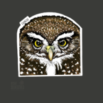 Imagen siguiente del producto