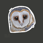 Imagen siguiente del producto