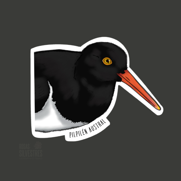Sticker de ave: Pilpilen austral