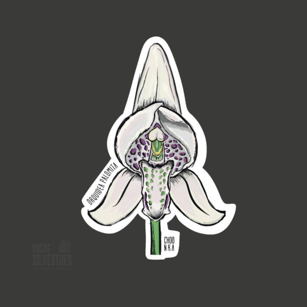 Sticker de flora: Orquidea palomita
