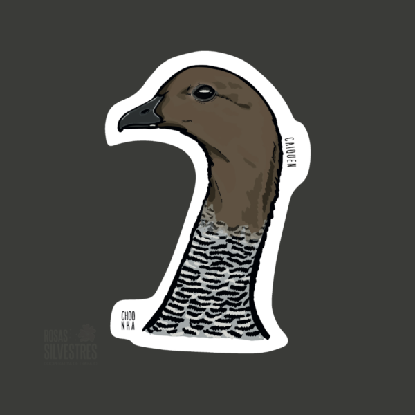 Sticker de ave: Caiquen