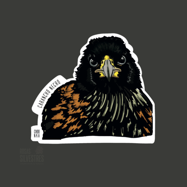 Sticker de ave: Carancho negro