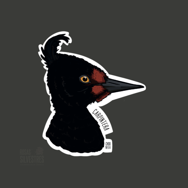 Sticker de ave: Carpintera