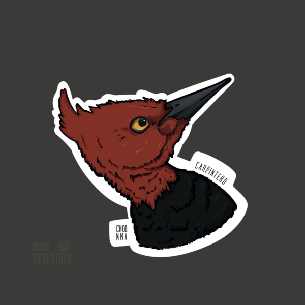 Sticker de ave: Carpintero