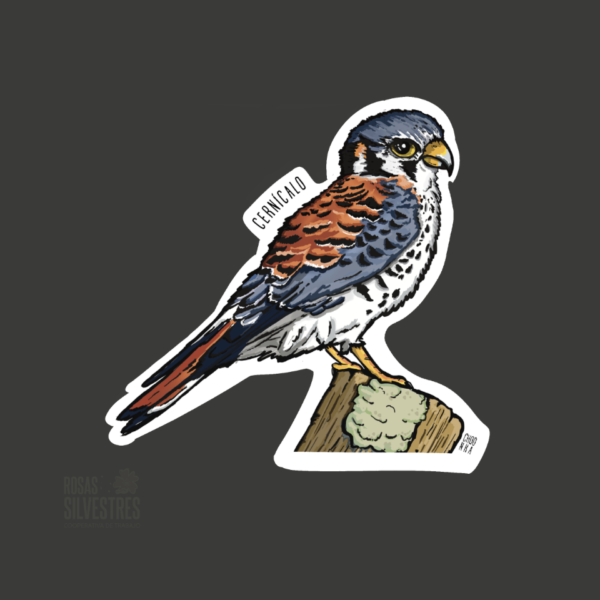 Sticker de ave: Cernicalo