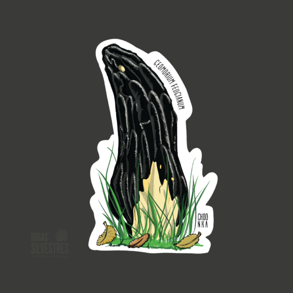 Sticker de hongo : Geomorium fuegianum