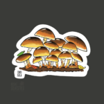 Imagen siguiente del producto