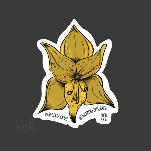 Sticker de flor: Alstromeria patagonica o mariposa de campo