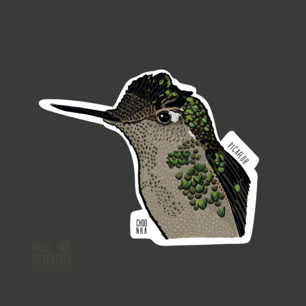 Sticker de ave: Picaflor