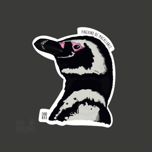 Sticker de ave: Pinguino de magallanes