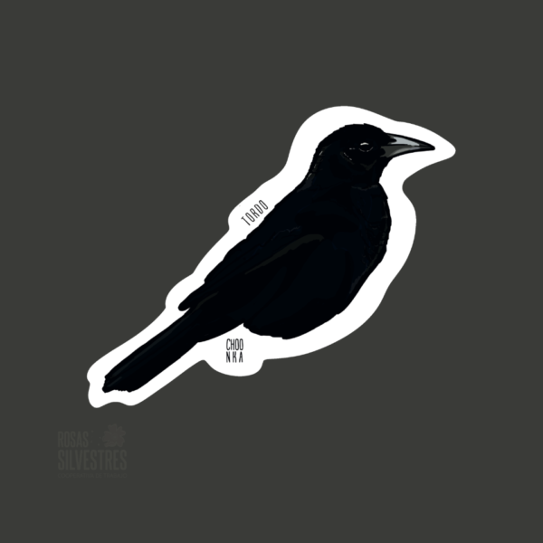 Sticker de ave: Tordo