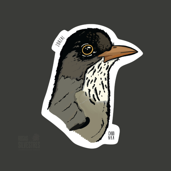 Sticker de ave: Zorzal